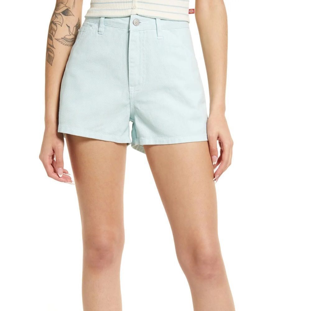 Dickies mint  High Rise Carpenter Shorts Size 13/31